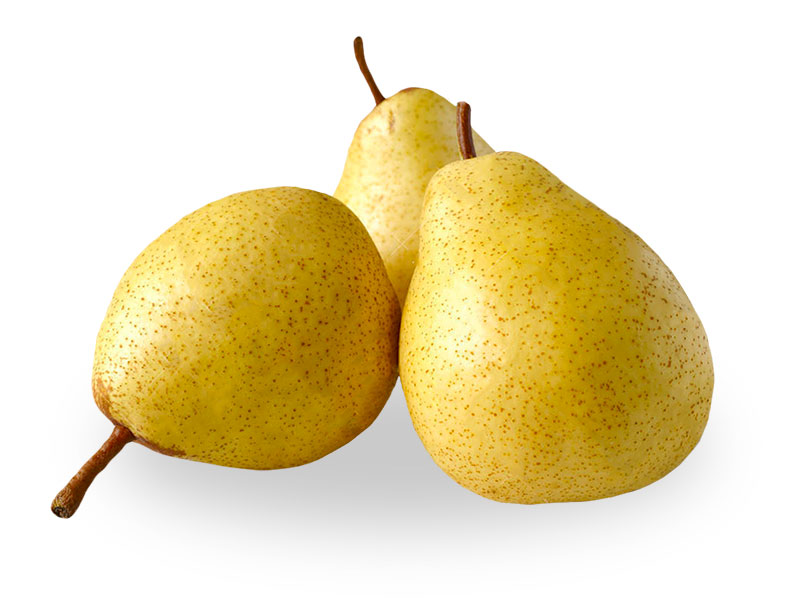 Rocha Pear