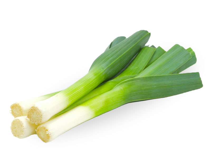 Leek