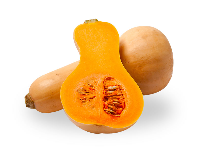 butternut squash