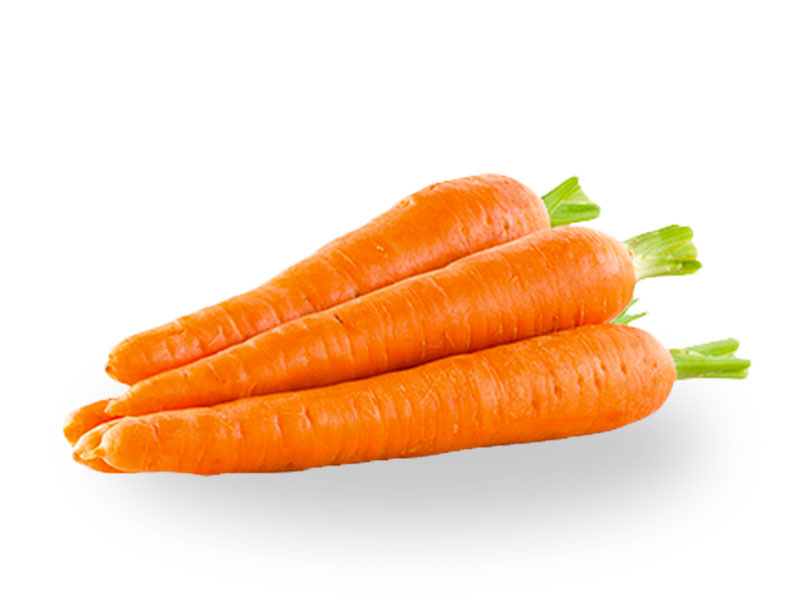 Carrot