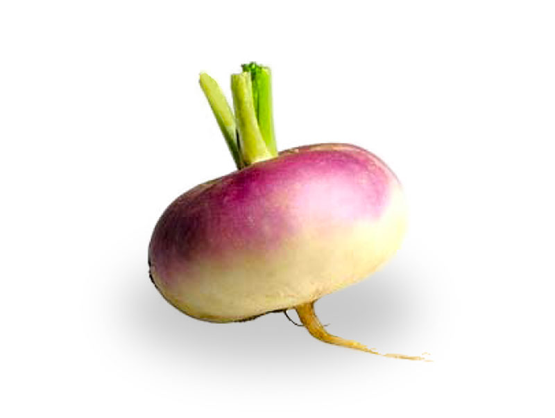 Turnip